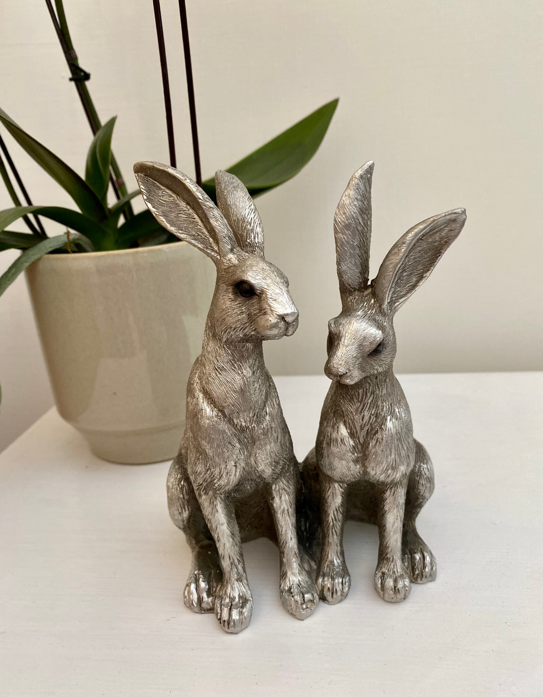 Silver Twin Hares